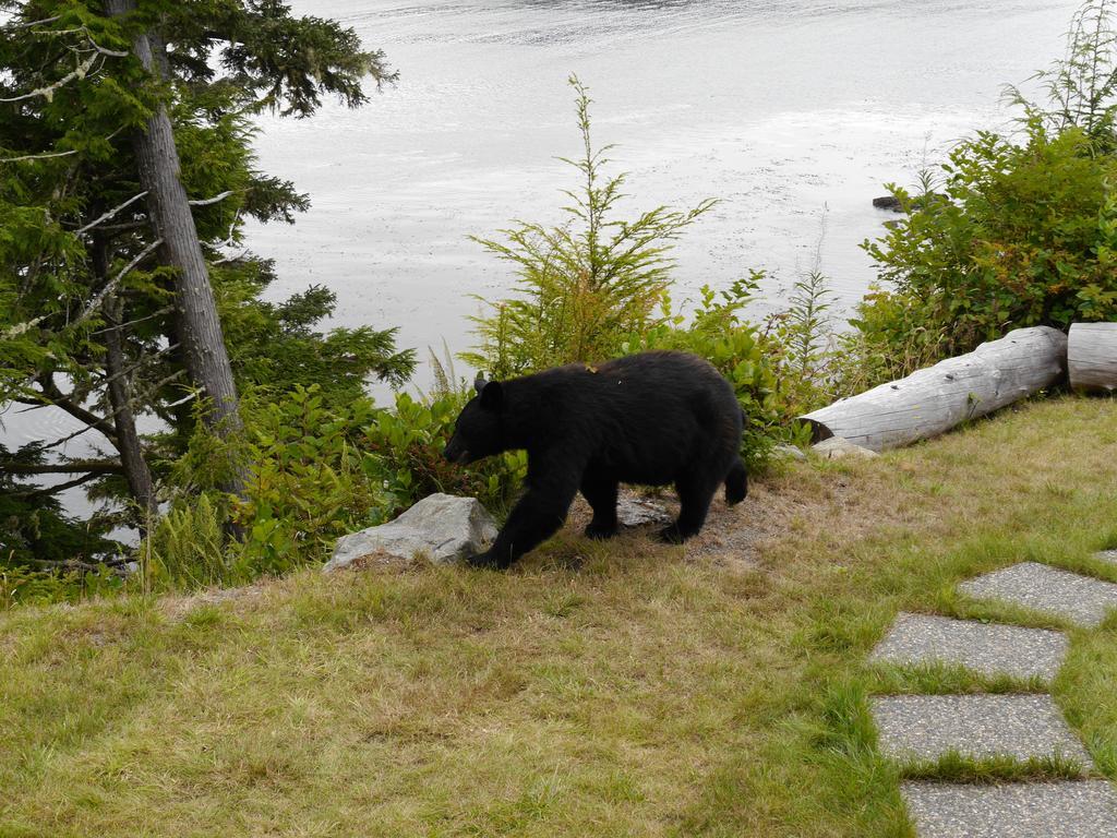 Cygnet Cove Suites Ucluelet Chambre photo