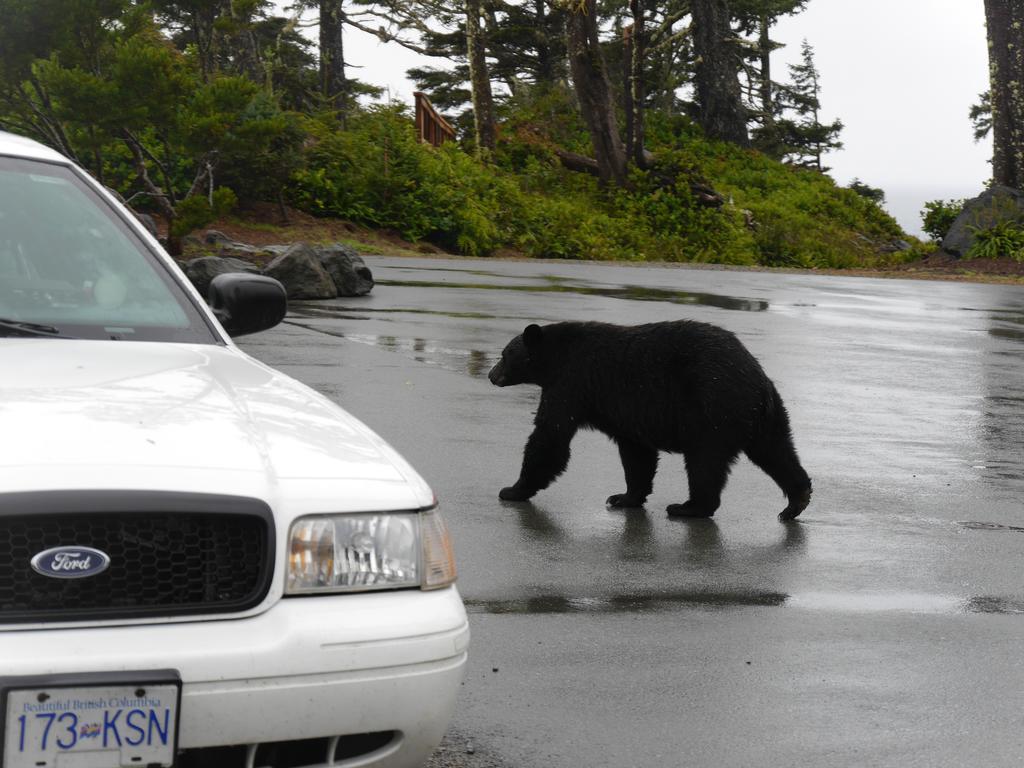 Cygnet Cove Suites Ucluelet Chambre photo