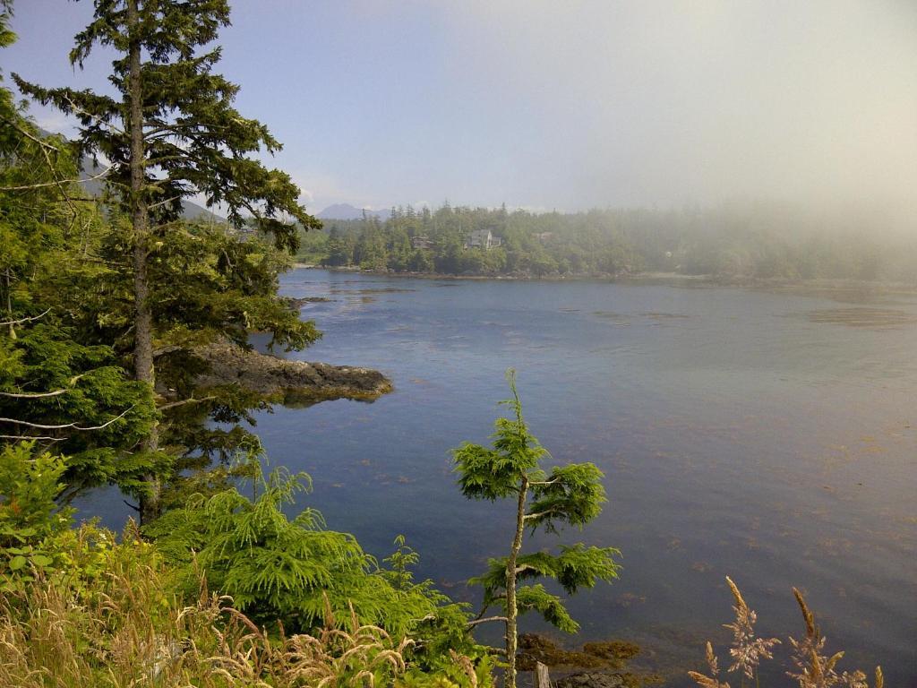 Cygnet Cove Suites Ucluelet Extérieur photo