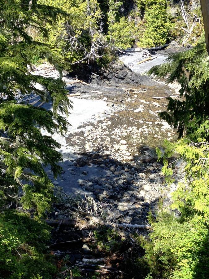 Cygnet Cove Suites Ucluelet Chambre photo