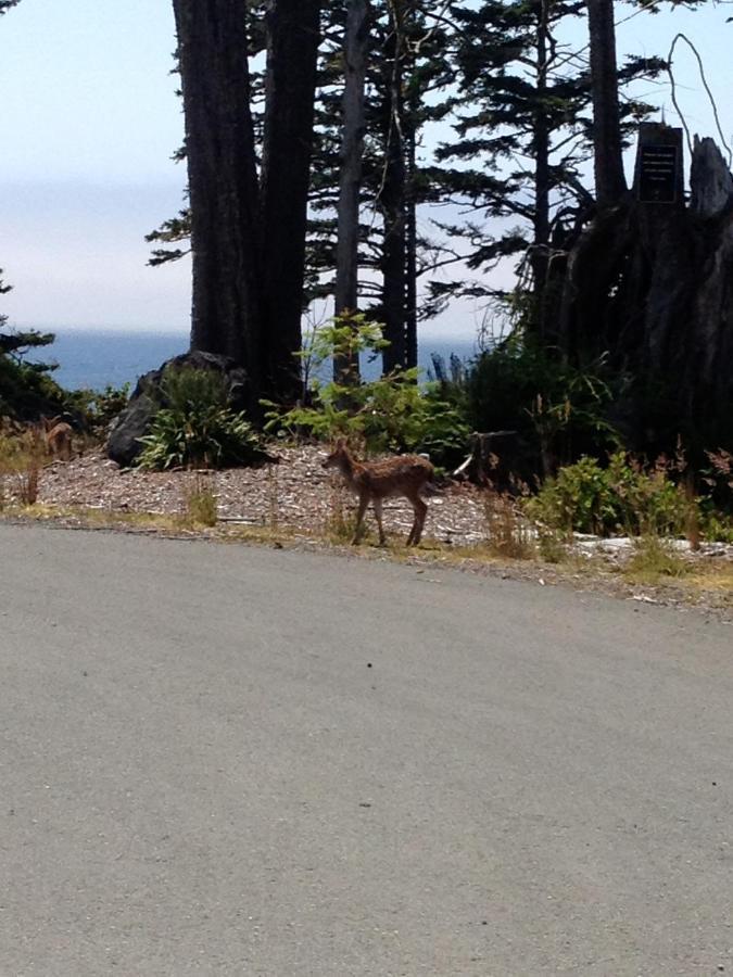 Cygnet Cove Suites Ucluelet Chambre photo